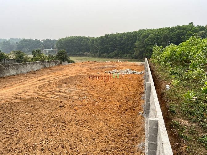 Hình ảnh Bán 1.245m2 (400m2 đất thổ cư) tại xã Tân Vinh, Lương Sơn, Hòa Bình