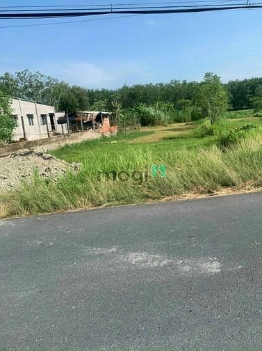 Hình ảnh Đất AN NHƠN TÂY, Dt : 14x60 = 835m2 ( có thổ cư 125m2 ), giá 8.5 tỷ