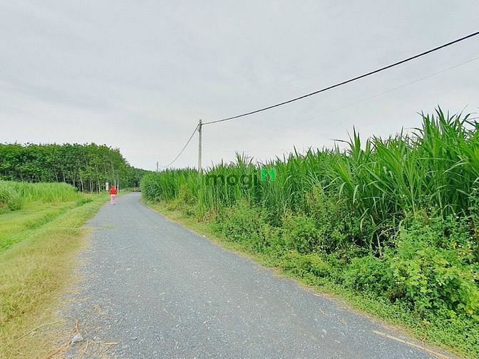 Hình ảnh xã An Nhơn Tây, DT: 130m*40m, giá 17.5 tỷ