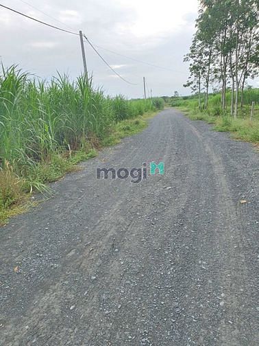 Hình ảnh xã An Nhơn Tây, DT: 130m*40m, giá 17.5 tỷ