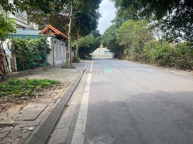 Hình ảnh Bán gấp 330m đất biệt thự Tầm Dâu, ngõ 85 Vũ Đức Thận, Việt Hưng