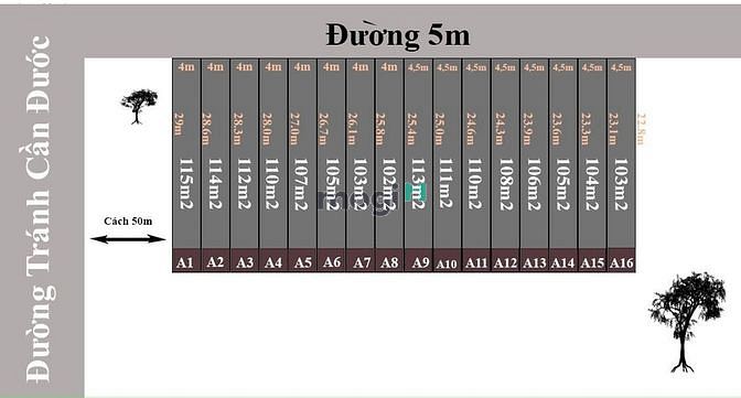 Hình ảnh Đừng mua đất Bình Chánh nếu chưa đọc qua bài viết này . Cẩn thận