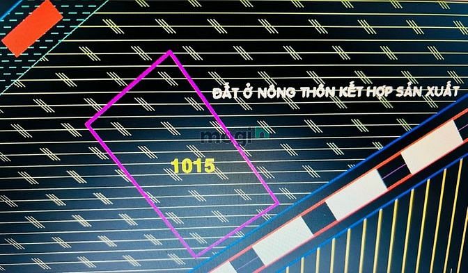 Hình ảnh Xã NHUẬN ĐỨC, Dt : 22x39 = 855m2 ( có 200m2 thổ cư ), giá 5.1 tỷ