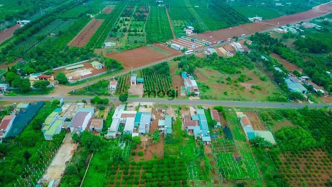 Hình ảnh Cần Bán Đất nền sổ đổ huyện Mangyang, Gia Lai