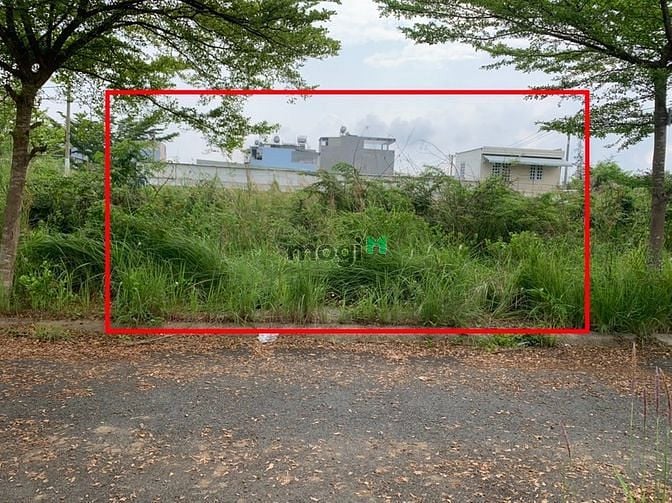 Hình ảnh Đất ngang 7m , sổ hồng riêng, hạ tầng đẹp, điện âm
