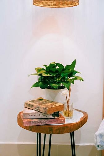 Hình ảnh Căn Hộ Studio Full Nội Thất Ngay Chợ Tân Định, Hai Bà Trưng Quận 3