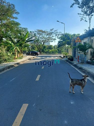 Hình ảnh Bán đất thổ cư đường làng tăng phú ,p tăng nhơn phú b,Q9 giá 6,7 tỷ 6
