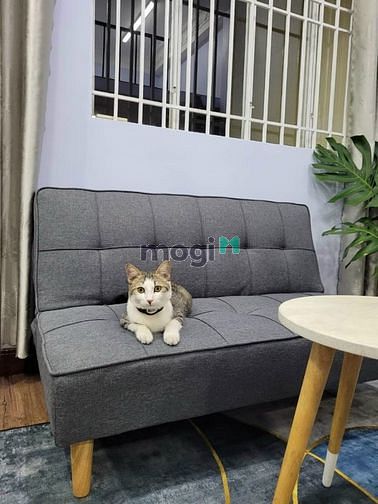 Hình ảnh Mb6623 nạp rút nhanh chóng cho thuê Nguyễn Cửu Vân Bình Thạnh, full nội thất chỉ 7,5triệu