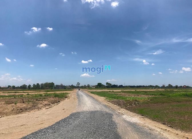 Hình ảnh Hot,📣📣 Đất đẹp Nằm ngay quốc lộ 50.☘️🏡 Sổ Hồng riêng
