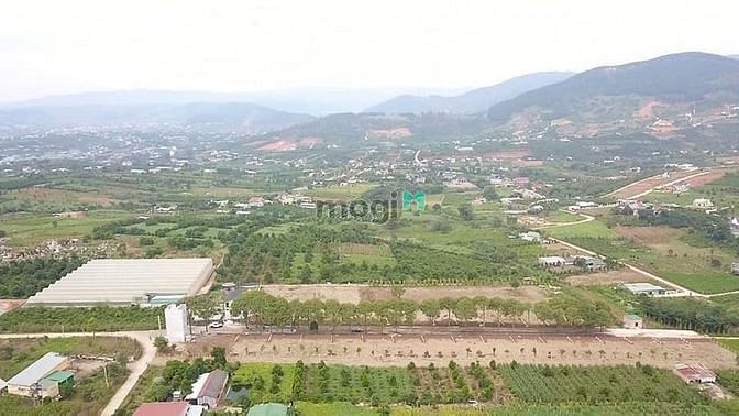 Hình ảnh Bán đất nền vùng ven Đà Lạt 306m thổ cư 250 SHR chỉ 2450 tỷ