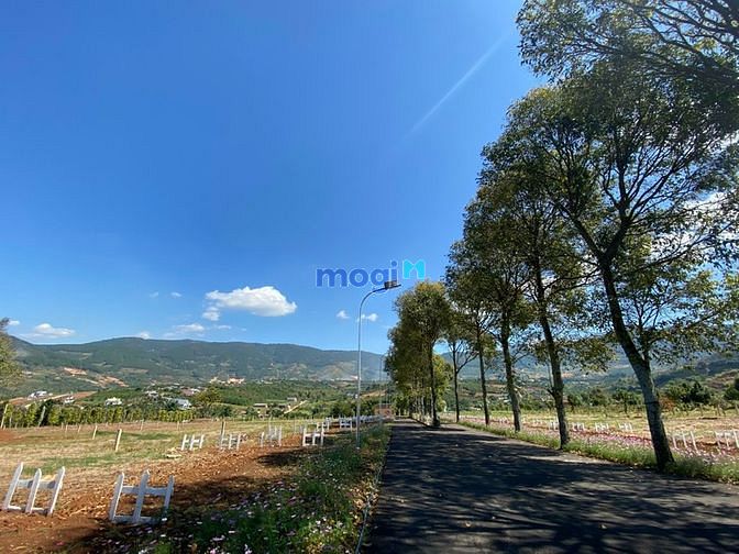 Hình ảnh Bán đất nền vùng ven Đà Lạt 306m thổ cư 250 SHR chỉ 2450 tỷ