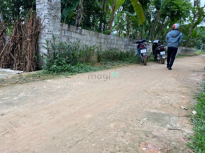 Hình ảnh bán đất thọ bình triệu sơn thanh hóa