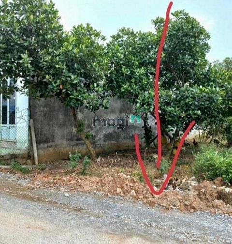 Hình ảnh Bán đất MT nhựa P.Thới Hòa, TX.Bến Cát, DT:5x21, TC60m2, SHR, 1,550 tỷ