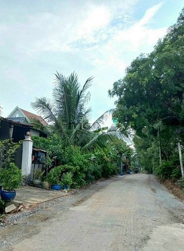Hình ảnh Bán đất MT nhựa P.Thới Hòa, TX.Bến Cát, DT:5x21, TC60m2, SHR, 1,550 tỷ