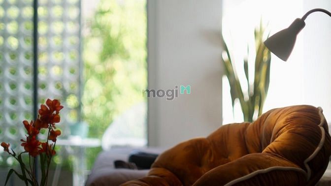 Hình ảnh 🚨🚨🚨Cho thuê Trang Chủ MB66.COM / Đăng Ký Tặng 66K Nguyễn Thị Định, q2 phòng đẹp