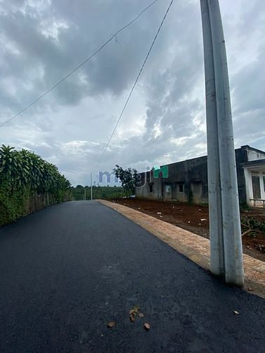 Hình ảnh cần bán gấp trong tuần............
