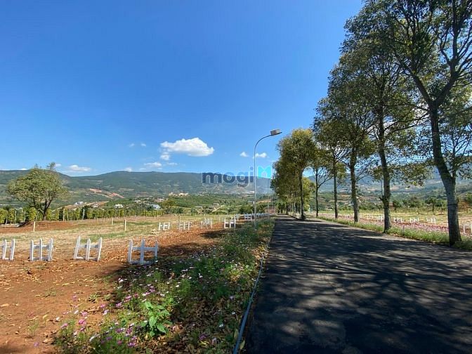 Hình ảnh Bán đất nền chuỗi biệt thự Eden Hills gần Đà Lạt giá từ 2.450 tỷ 306m2