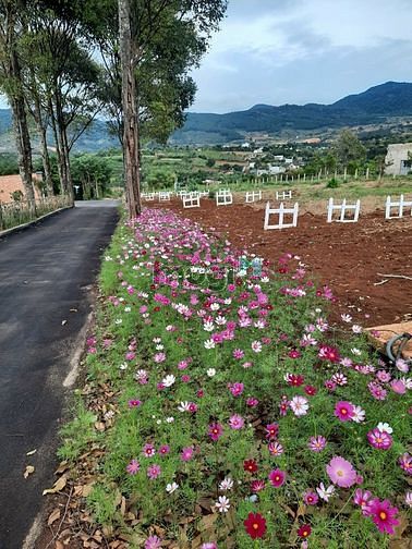 Hình ảnh Bán đất nền chuỗi biệt thự Eden Hills gần Đà Lạt giá từ 2.450 tỷ 306m2