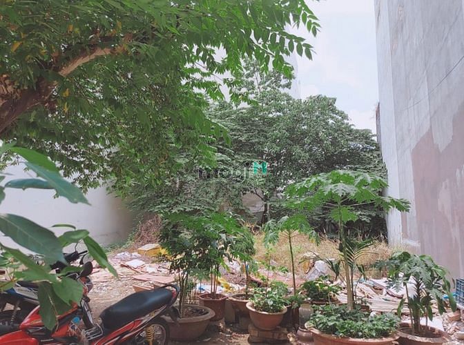 Hình ảnh Duy Nhất, Đất quận Tân Phú 83m2, HXH, A4 nhỉnh 6 tỷ