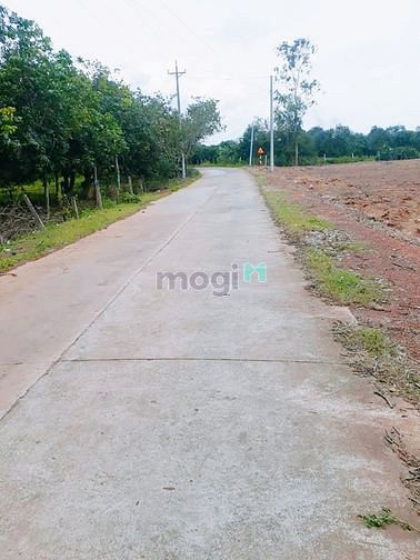 Hình ảnh Đất thổ cư Lộc Ninh Giá Rẻ. Chỉ 419 Triệu/ Nền