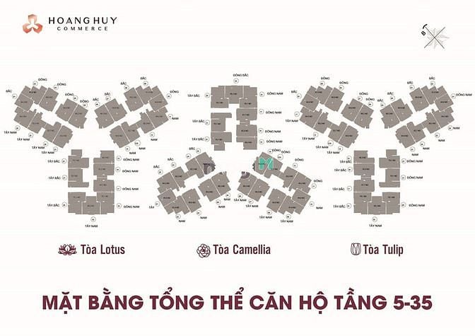 Hình ảnh Siêu Phẩm Hoàng Huy COMMERCE Đẳng Cấp 5*