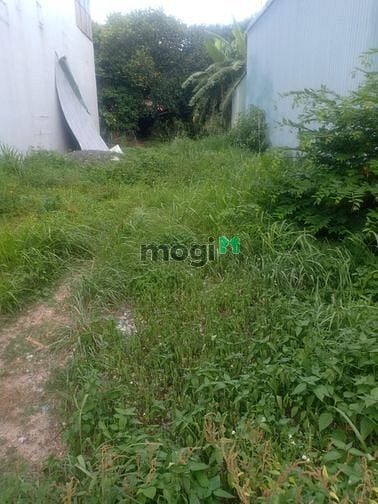 Hình ảnh Bán 108m2 đất sau chợ Hưng Long SHR giá rẻ. CC ngay.