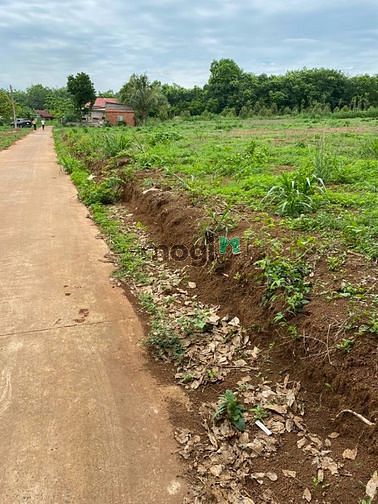 Hình ảnh Đất Bình Long cần chủ mới do chủ cũ nợ MB66 là nhà cái uy tín hàng đầu tại Việt Nam cần trả nợ gấp