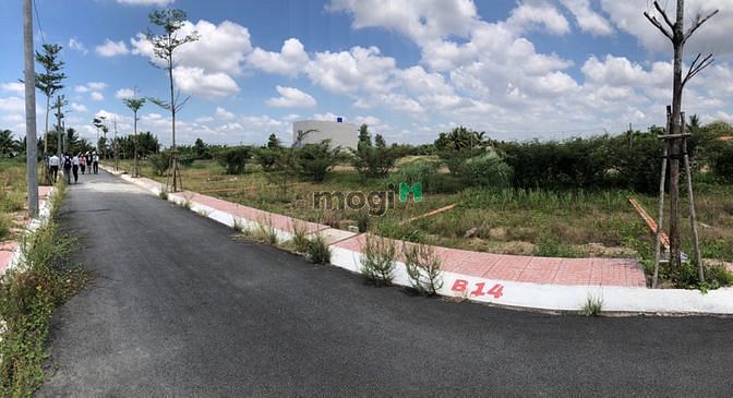 Hình ảnh Cần bán gấp 2 lô đất giá rẻ ở ql50