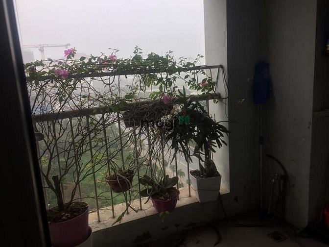 Hình ảnh Bán CHCC Vườn Đào, Tây Hồ, 126M2, 4,15 tỷ