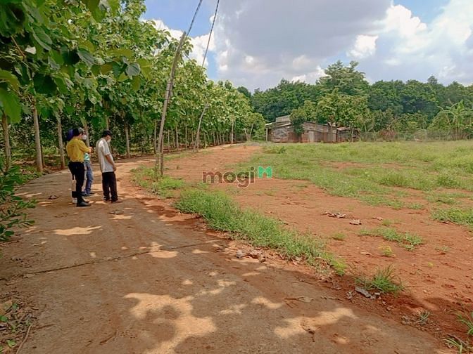 Hình ảnh Bán đất Lộc Ninh - Bình Phước cách KCN Lộc Thạnh 1 km
