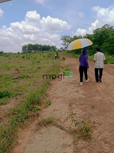 Hình ảnh Bán đất Lộc Ninh - Bình Phước cách KCN Lộc Thạnh 1 km