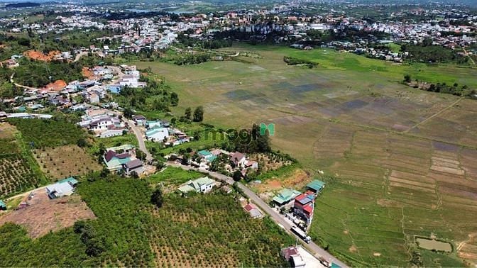 Hình ảnh 𝐶𝑎̂̀𝑛 𝐵𝑎́𝑛 đất Thị Trấn-Trung Tâm Thị Trấn Di Linh.