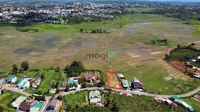 Hình ảnh 𝐶𝑎̂̀𝑛 𝐵𝑎́𝑛 đất Thị Trấn-Trung Tâm Thị Trấn Di Linh.
