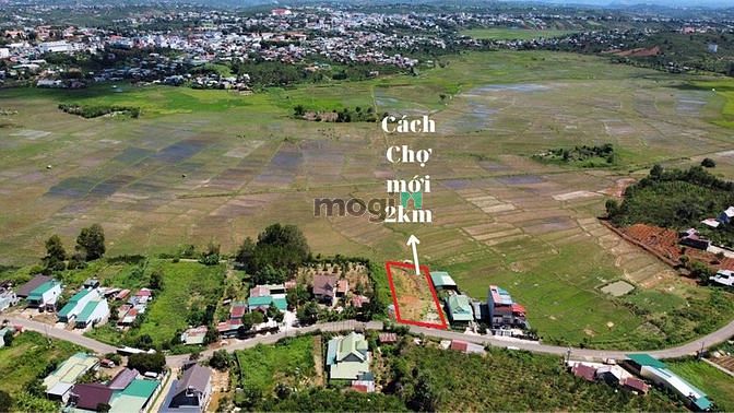Hình ảnh 𝐶𝑎̂̀𝑛 𝐵𝑎́𝑛 đất Thị Trấn-Trung Tâm Thị Trấn Di Linh.