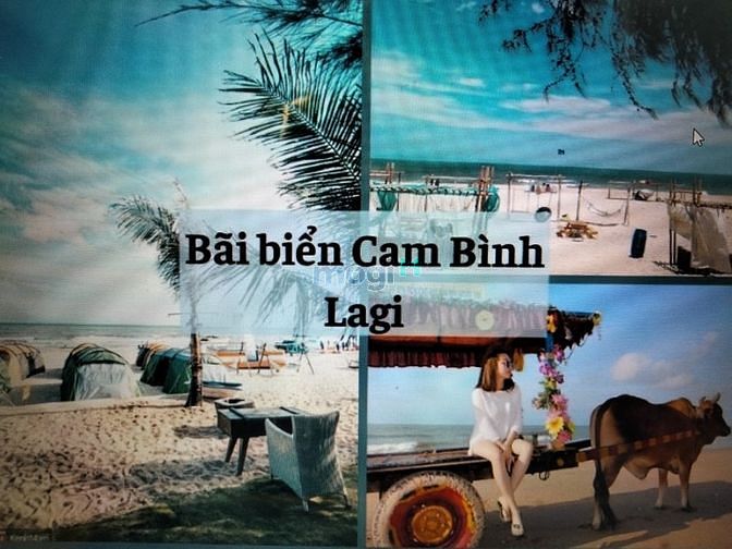 Hình ảnh Bán đất Lagi Bình Thuận, 23.5*42,100TC, dân cư hiện hữu.