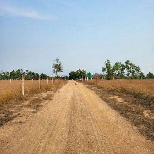 Hình ảnh Bán đất Rừng Vàng LAGI Bình Thuận, khu nghỉ dưỡng tương lai.