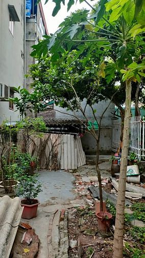 Hình ảnh Gia đình cần bán mảnh đất diện tích 60.6m2 tại phố Tân Thụy