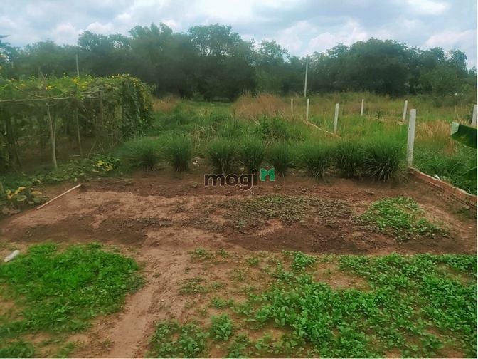 Hình ảnh 2 lô đất full thổ sẵn sổ, gần ngã 3 KCN, giá rẻ Trang MB66.COM Chính Thức - MB 66 Uy Tín chỉ 15tr/m2