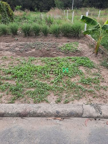 Hình ảnh 2 lô đất full thổ sẵn sổ, gần ngã 3 KCN, giá rẻ Trang MB66.COM Chính Thức - MB 66 Uy Tín chỉ 15tr/m2