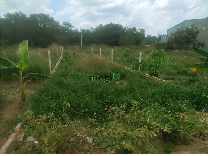 Hình ảnh 2 lô đất full thổ sẵn sổ, gần ngã 3 KCN, giá rẻ Trang MB66.COM Chính Thức - MB 66 Uy Tín chỉ 15tr/m2