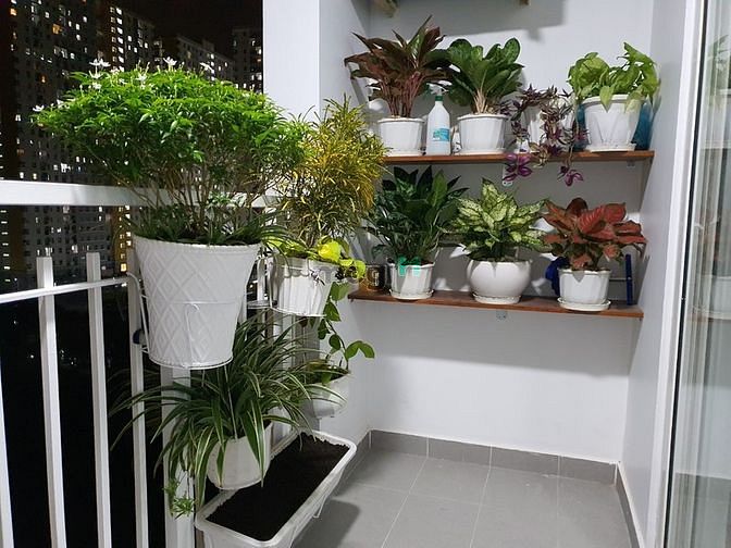 Hình ảnh Cho thuê 1 phòng, Mb6623 nạp rút nhanh chóng 100m2 Carina Plaza Võ Văn Kiệt