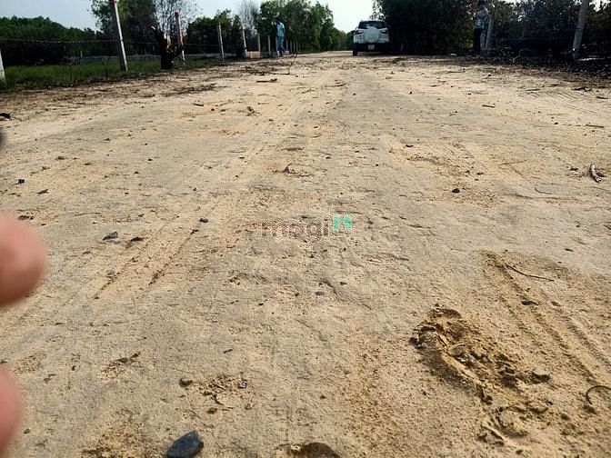 Hình ảnh Bán Đất Biển Khu Rừng Vàng Full Hồng Tân Bình LaGi