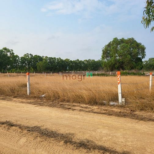 Hình ảnh Bán đất Rừng Vàng Lagi Bình Thuận, thành phố Biển tương lai