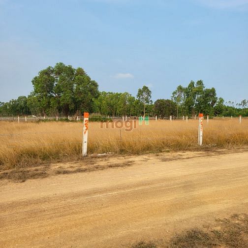Hình ảnh Bán đất Rừng Vàng Lagi Bình Thuận, thành phố Biển tương lai