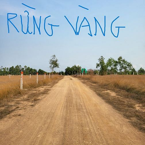 Hình ảnh Bán đất Rừng Vàng Lagi Bình Thuận, thành phố Biển tương lai