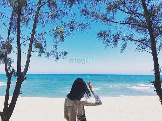 Hình ảnh Bán đất Rừng Vàng Lagi Bình Thuận, thành phố Biển tương lai