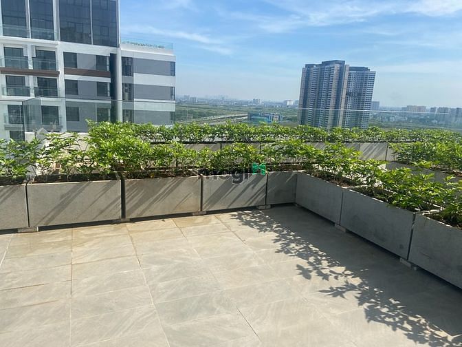 Hình ảnh Chuyên Cho Thuê Căn Hộ Trang Chủ MB66.COM Chính Thức Q2, D'lusso,75m2 ,13tr, có sân vườn