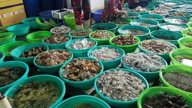 Hình ảnh Bán đất nghỉ dưỡng thành phố biển tương lai Lagi Bình Thuận