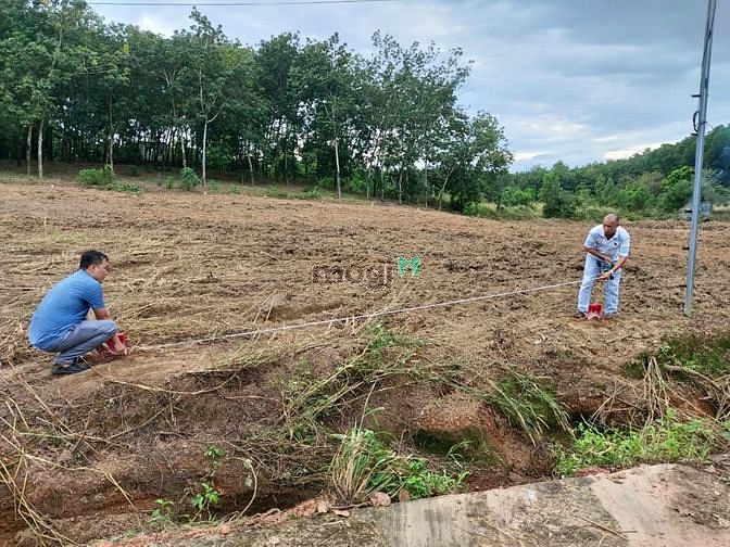 Hình ảnh Bán Đất Đẹp Số hồng 222m2 , KCN Huyện Đồng Phú