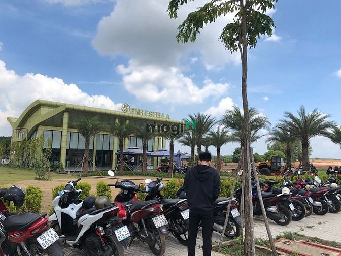 Hình ảnh Bán đất nền dự án PNR Estella - Sổ hồng riêng - Giá gốc từ CĐT